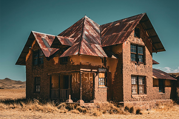 Professional real estate agent